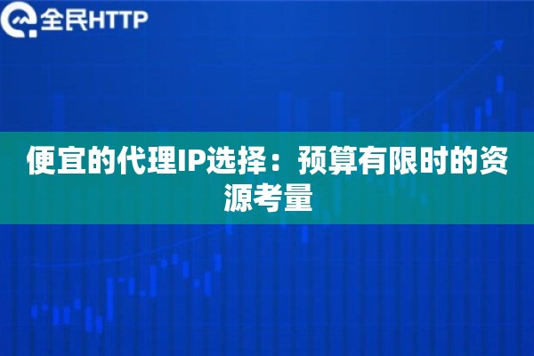 便宜的代理IP选择：预算有限时的资源考量