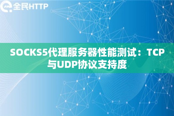 SOCKS5代理服务器性能测试：TCP与UDP协议支持度