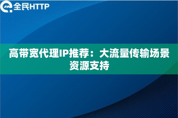 高带宽代理IP推荐：大流量传输场景资源支持