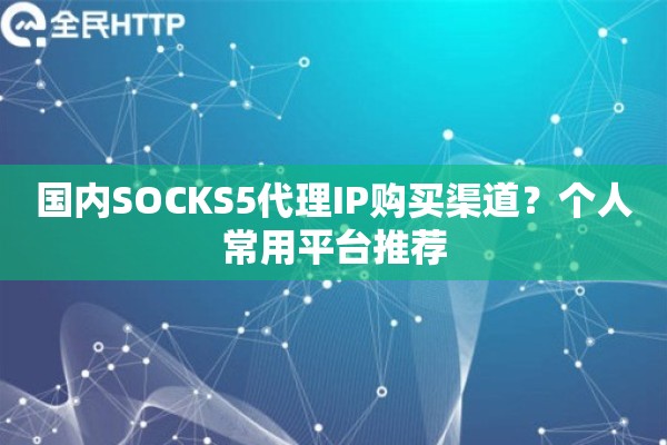 国内SOCKS5代理IP购买渠道？个人常用平台推荐