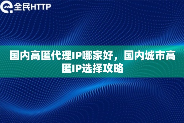国内高匿代理IP哪家好，国内城市高匿IP选择攻略
