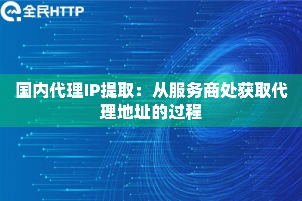 国内代理IP提取：从服务商处获取代理地址的过程