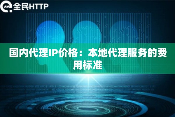 国内代理IP价格：本地代理服务的费用标准