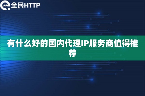 有什么好的国内代理IP服务商值得推荐