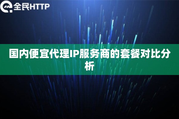 国内便宜代理IP服务商的套餐对比分析