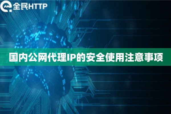 国内公网代理IP的安全使用注意事项 国内公网代理IP的安全使用注意事项