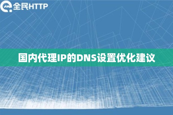 国内代理IP的DNS设置优化建议 国内代理IP的DNS设置优化建议