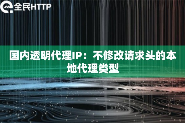 国内透明代理IP：不修改请求头的本地代理类型