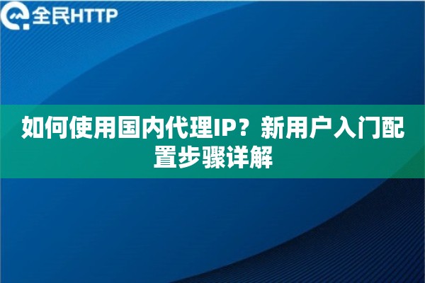 如何使用国内代理IP?新用户入门配置步骤详解 如何使用国内代理IP?新用户入门配置步骤详解