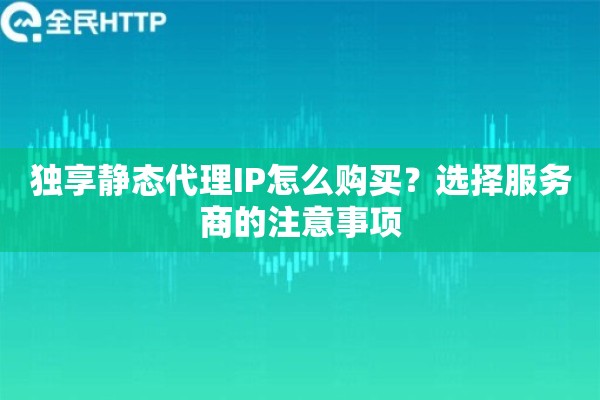独享静态代理IP怎么购买？选择服务商的注意事项