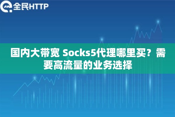 国内大带宽 Socks5代理哪里买?需要高流量的业务选择 国内大带宽 Socks5代理哪里买?需要高流量的业务选择