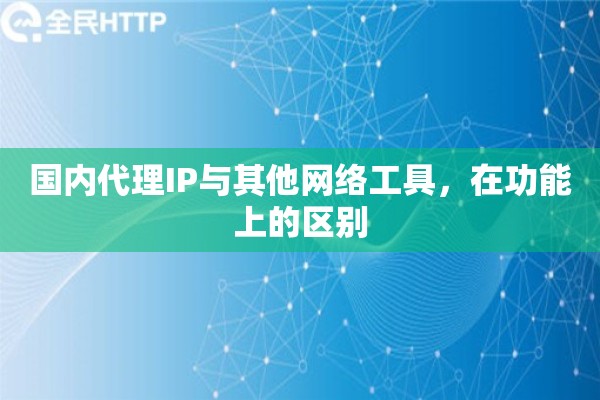国内代理IP与其他网络工具，在功能上的区别
