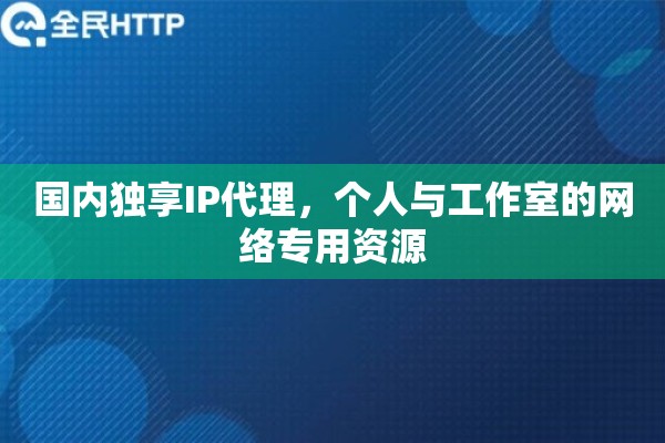 国内独享IP代理，个人与工作室的网络专用资源