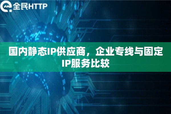 国内静态IP供应商，企业专线与固定IP服务比较