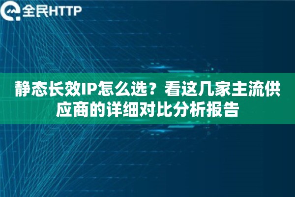 静态长效IP怎么选？看这几家主流供应商的详细对比分析报告