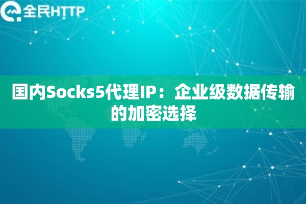 国内Socks5代理IP:企业级数据传输的加密选择 国内Socks5代理IP:企业级数据传输的加密选择