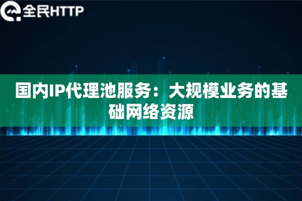 国内IP代理池服务：大规模业务的基础网络资源