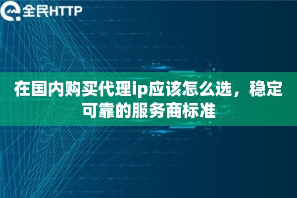 在国内购买代理ip应该怎么选，稳定可靠的服务商标准