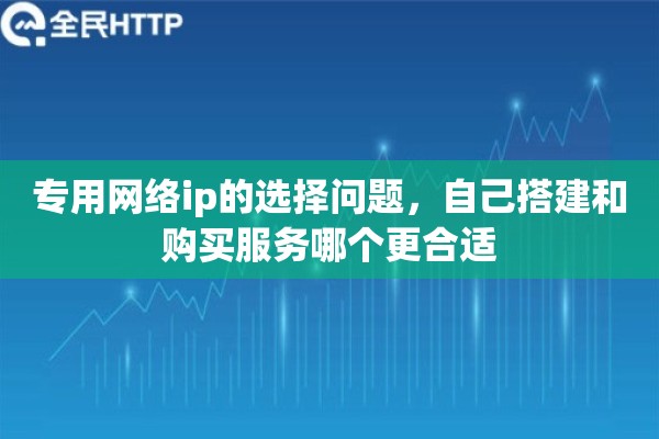 专用网络ip的选择问题，自己搭建和购买服务哪个更合适