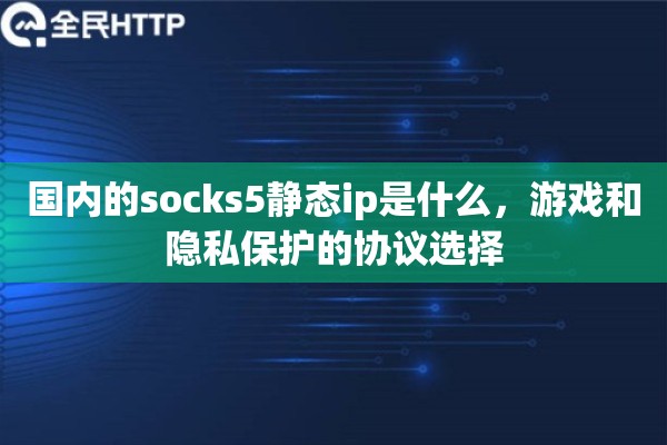 国内的socks5静态ip是什么，游戏和隐私保护的协议选择