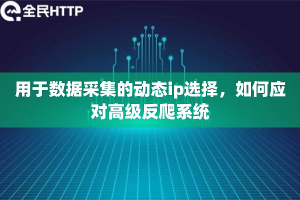 用于数据采集的动态ip选择，如何应对高级反爬系统
