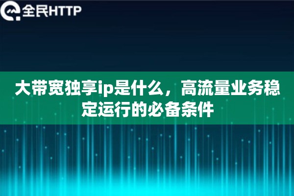 大带宽独享ip是什么，高流量业务稳定运行的必备条件