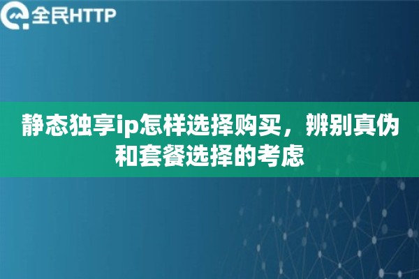 静态独享ip怎样选择购买,辨别真伪和套餐选择的考虑 静态独享ip怎样选择购买,辨别真伪和套餐选择的考虑