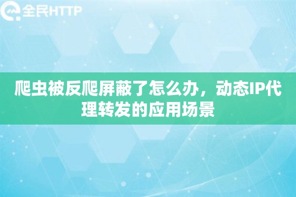 爬虫被反爬屏蔽了怎么办，动态IP代理转发的应用场景