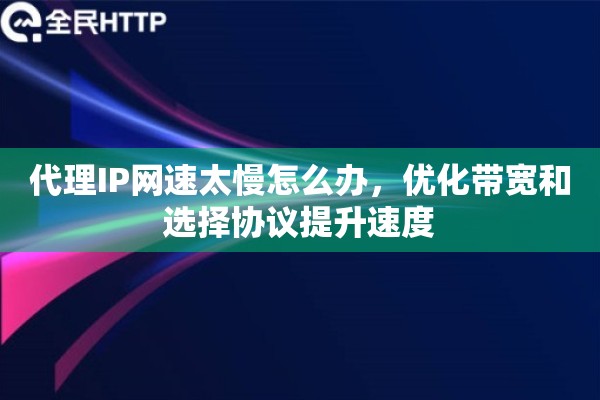 代理IP网速太慢怎么办，优化带宽和选择协议提升速度