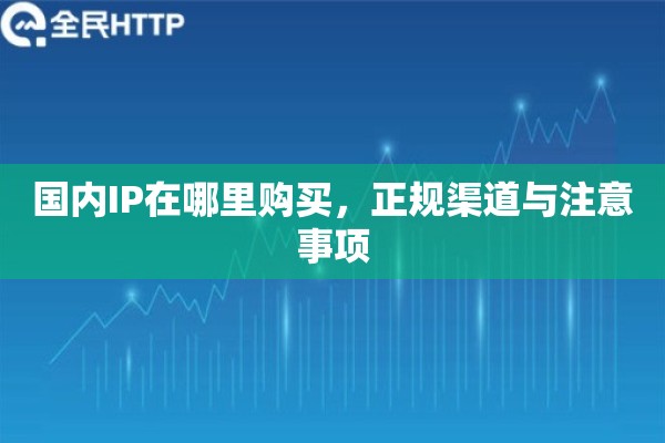国内IP在哪里购买，正规渠道与注意事项