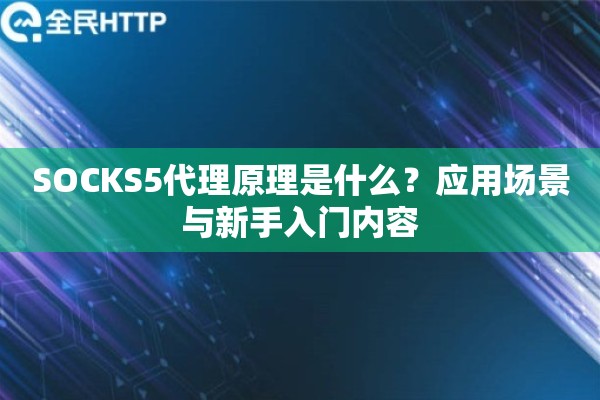 SOCKS5代理原理是什么？应用场景与新手入门内容