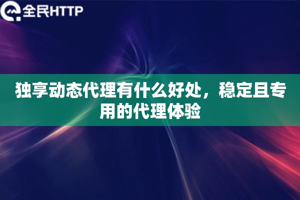 独享动态代理有什么好处，稳定且专用的代理体验