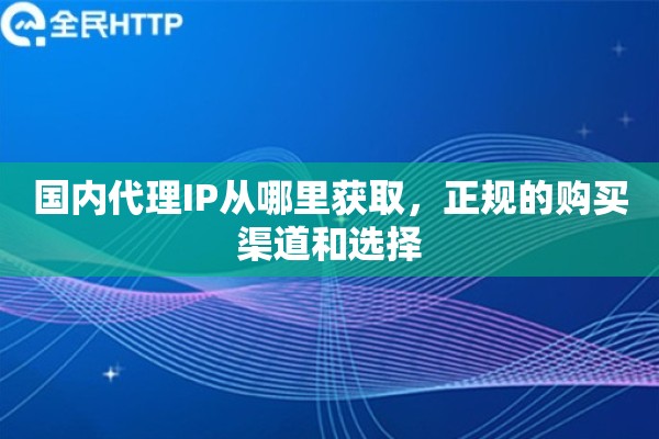 国内代理IP从哪里获取，正规的购买渠道和选择