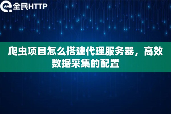 爬虫项目怎么搭建代理服务器，高效数据采集的配置