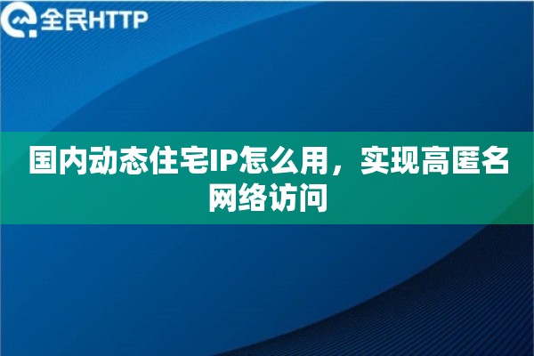 国内动态住宅IP怎么用,实现高匿名网络访问 国内动态住宅IP怎么用,实现高匿名网络访问