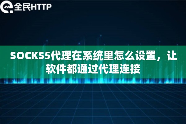SOCKS5代理在系统里怎么设置，让软件都通过代理连接