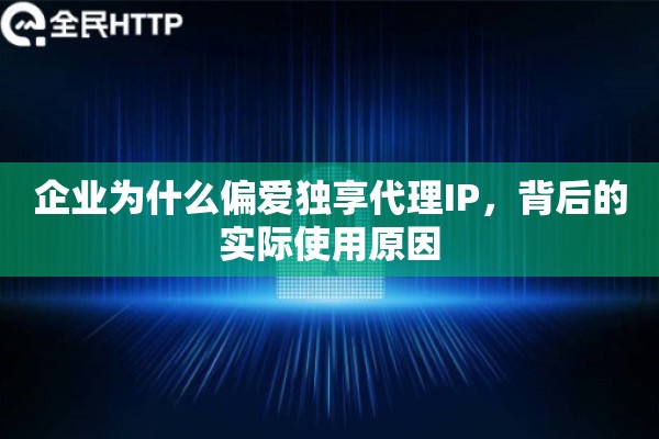 企业为什么偏爱独享代理IP，背后的实际使用原因