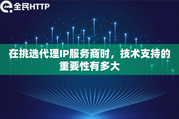 在挑选代理IP服务商时，技术支持的重要性有多大