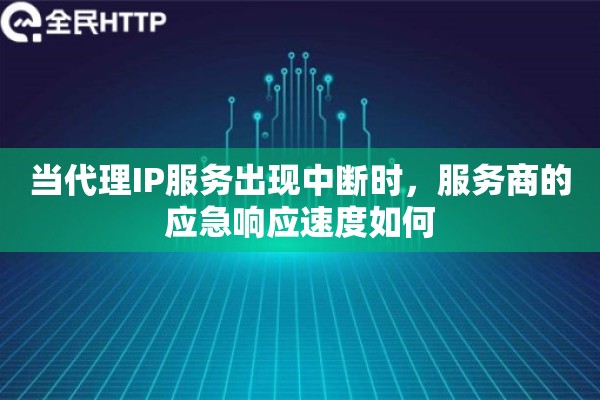 当代理IP服务出现中断时，服务商的应急响应速度如何