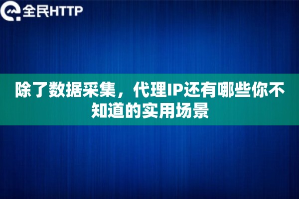 除了数据采集，代理IP还有哪些你不知道的实用场景