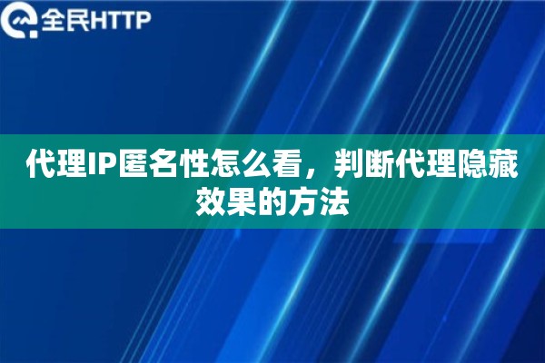 代理IP匿名性怎么看，判断代理隐藏效果的方法