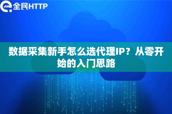 数据采集新手怎么选代理IP？从零开始的入门思路