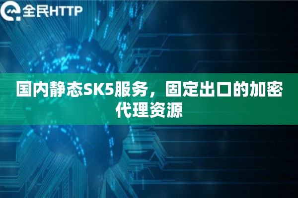 国内静态SK5服务，固定出口的加密代理资源