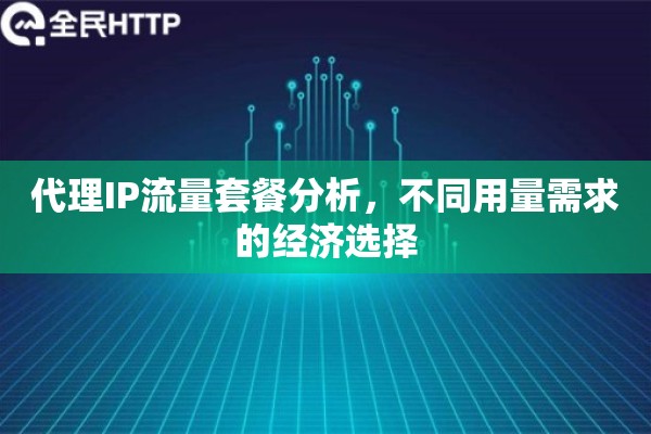 代理IP流量套餐分析，不同用量需求的经济选择