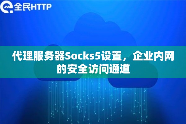 代理服务器Socks5设置，企业内网的安全访问通道