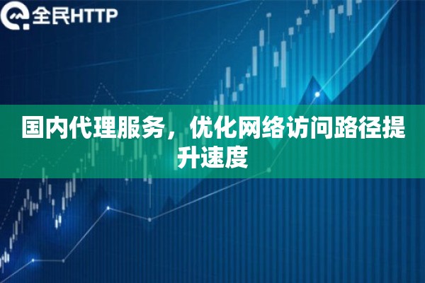 国内代理服务，优化网络访问路径提升速度