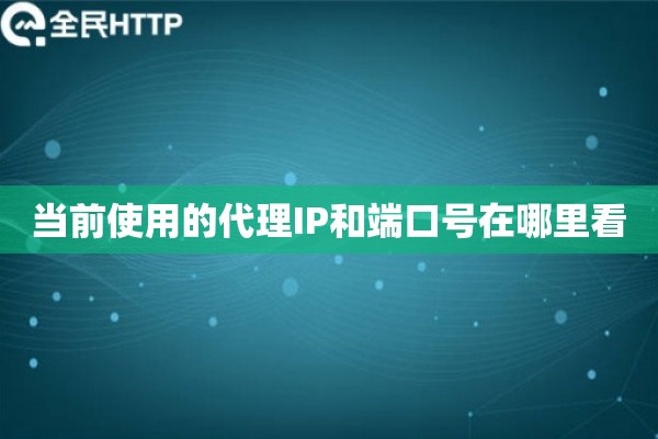 当前使用的代理IP和端口号在哪里看
