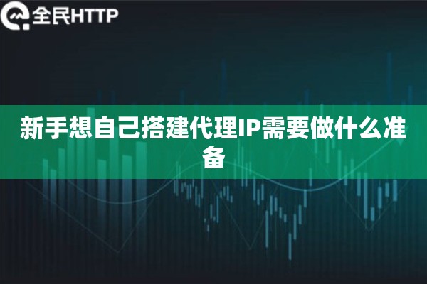 新手想自己搭建代理IP需要做什么准备