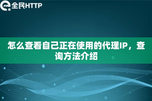 怎么查看自己正在使用的代理IP，查询方法介绍