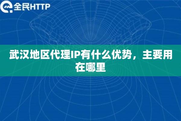 武汉地区代理IP有什么优势，主要用在哪里